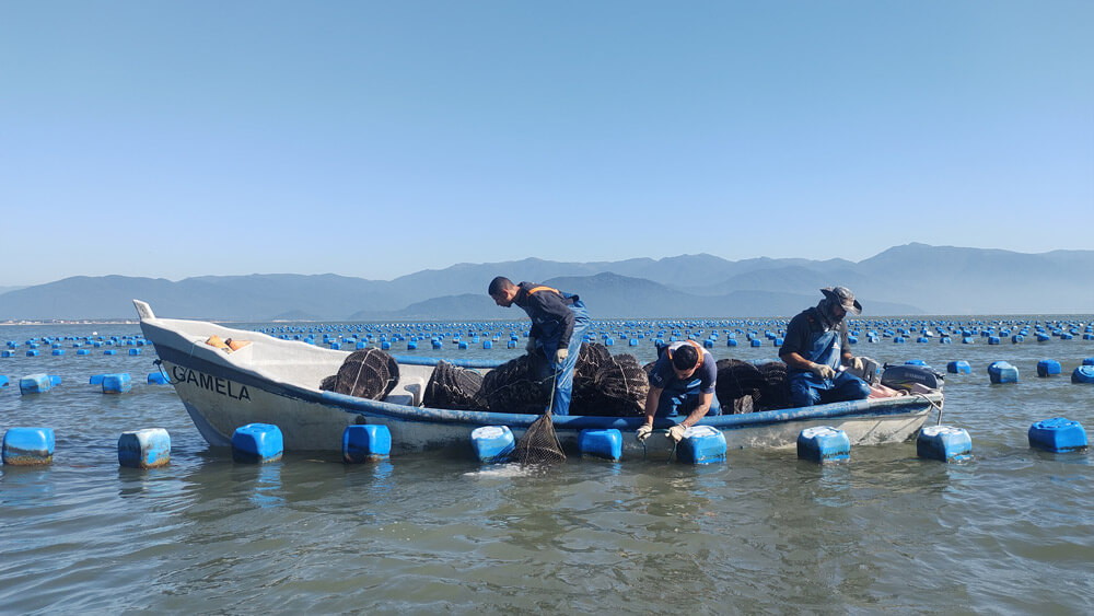 Barco com pescadores