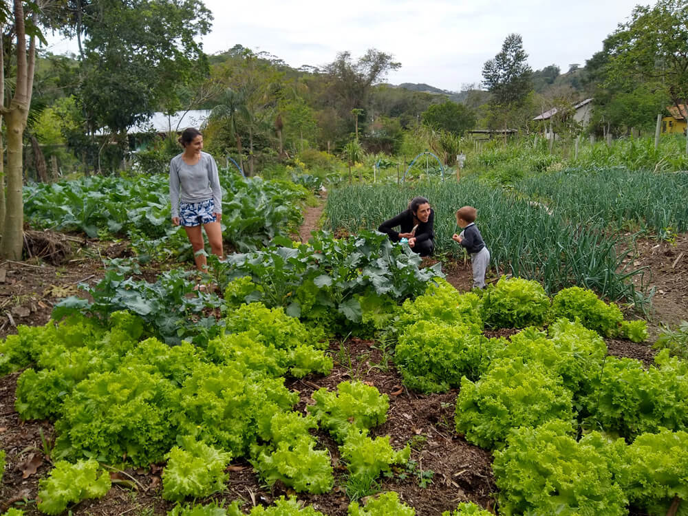 Pessoas numa horta