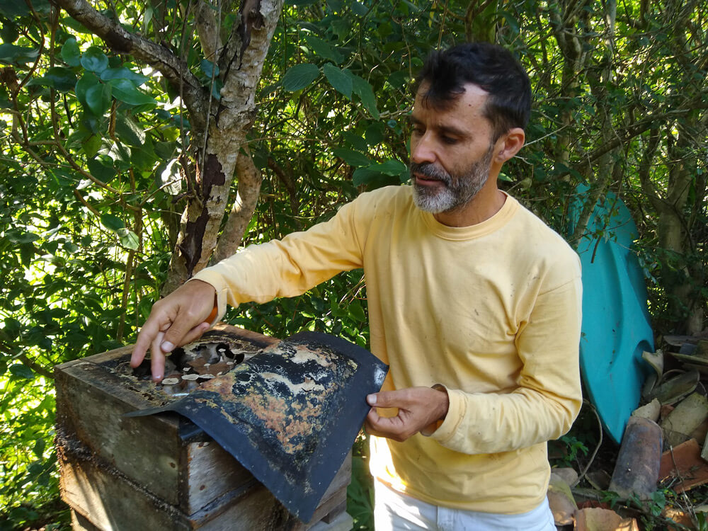 Homem mexendo numa caixa de apicultura
